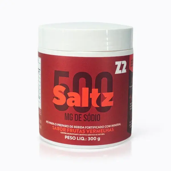 Saltz 500 Pote 300g